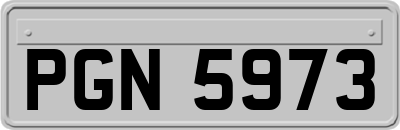 PGN5973