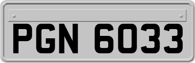 PGN6033