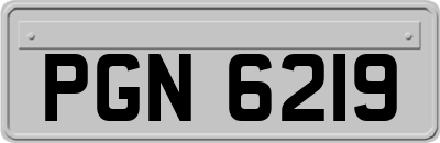 PGN6219