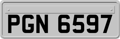 PGN6597