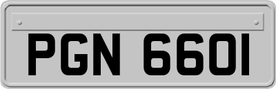 PGN6601