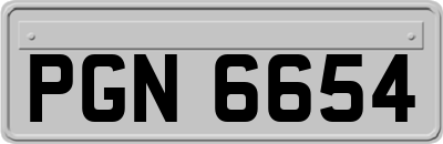 PGN6654