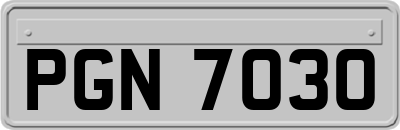PGN7030