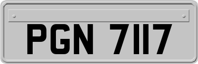 PGN7117