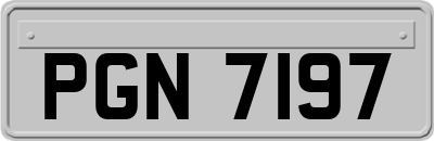 PGN7197