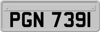 PGN7391