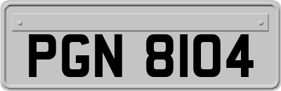 PGN8104