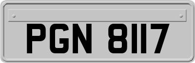 PGN8117