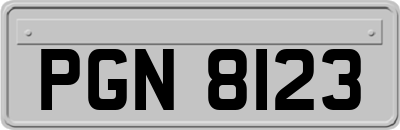PGN8123