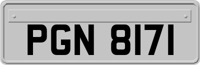 PGN8171