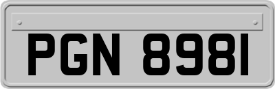 PGN8981