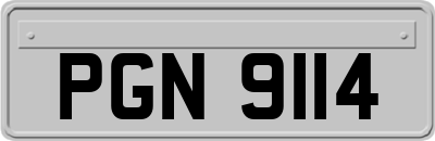 PGN9114