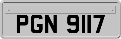 PGN9117