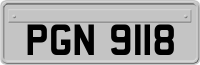 PGN9118