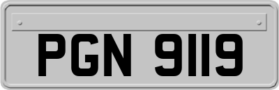 PGN9119