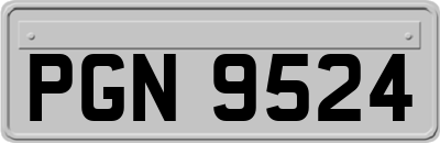PGN9524