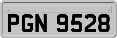 PGN9528