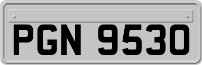 PGN9530