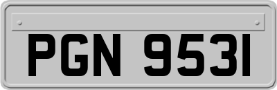 PGN9531
