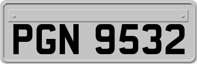 PGN9532