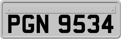 PGN9534