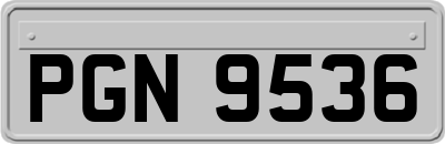 PGN9536