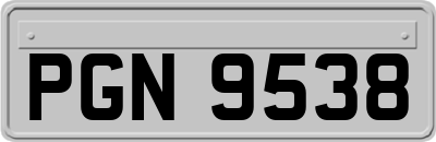 PGN9538