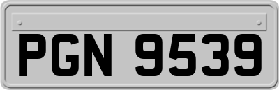PGN9539