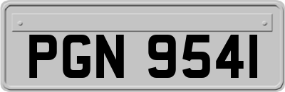 PGN9541
