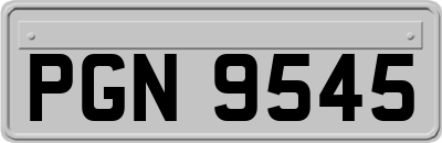 PGN9545