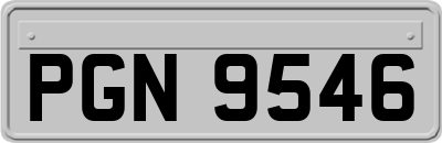 PGN9546