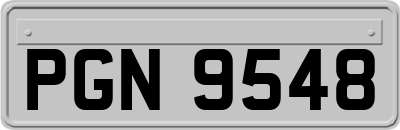 PGN9548