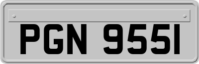 PGN9551