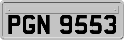 PGN9553