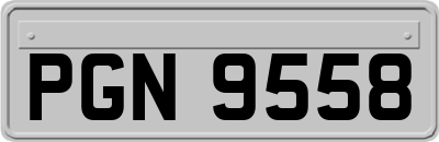 PGN9558