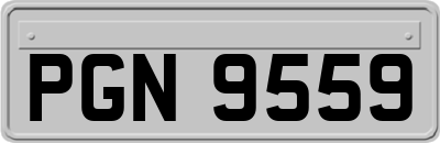 PGN9559