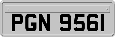 PGN9561