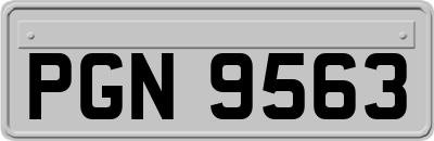 PGN9563