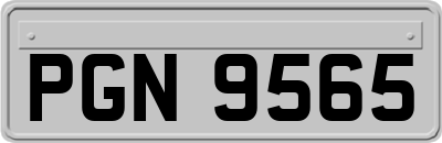 PGN9565