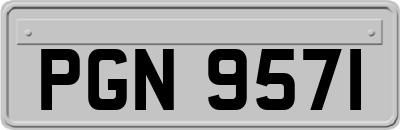PGN9571