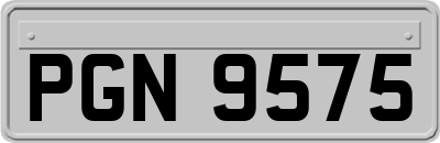 PGN9575