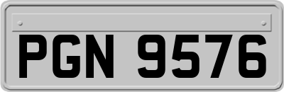 PGN9576