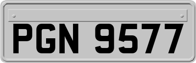 PGN9577