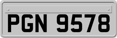 PGN9578