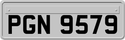 PGN9579