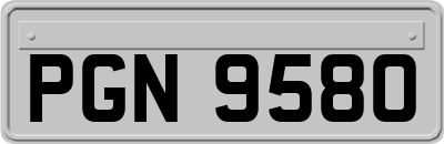 PGN9580