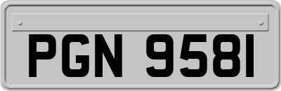 PGN9581