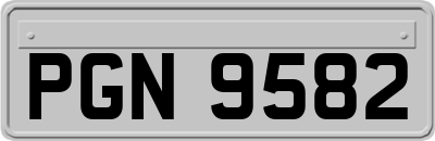 PGN9582