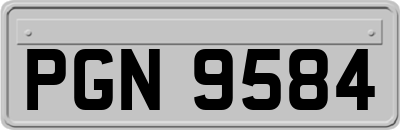 PGN9584