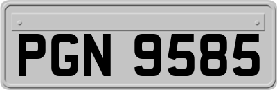 PGN9585